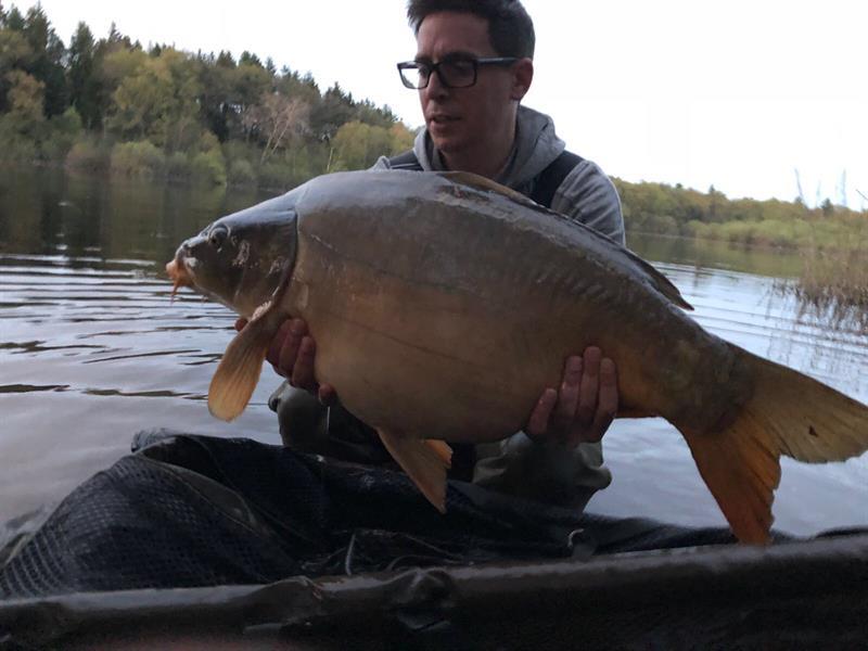 Spiegelkarper van 13 kilo