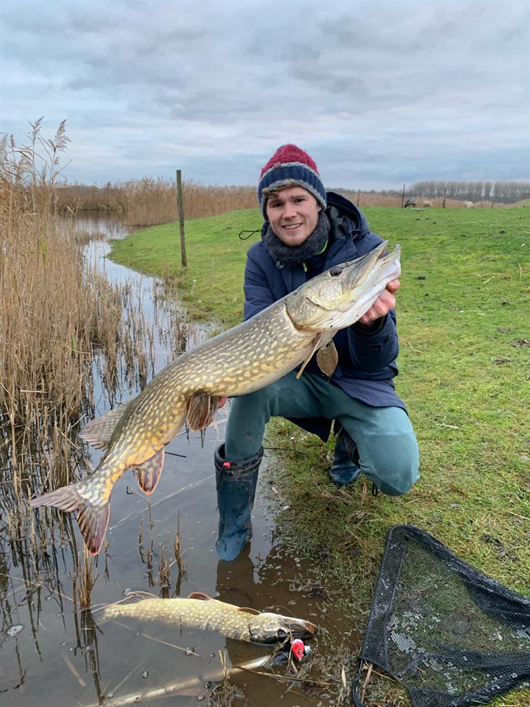 Snoek van 56 cm