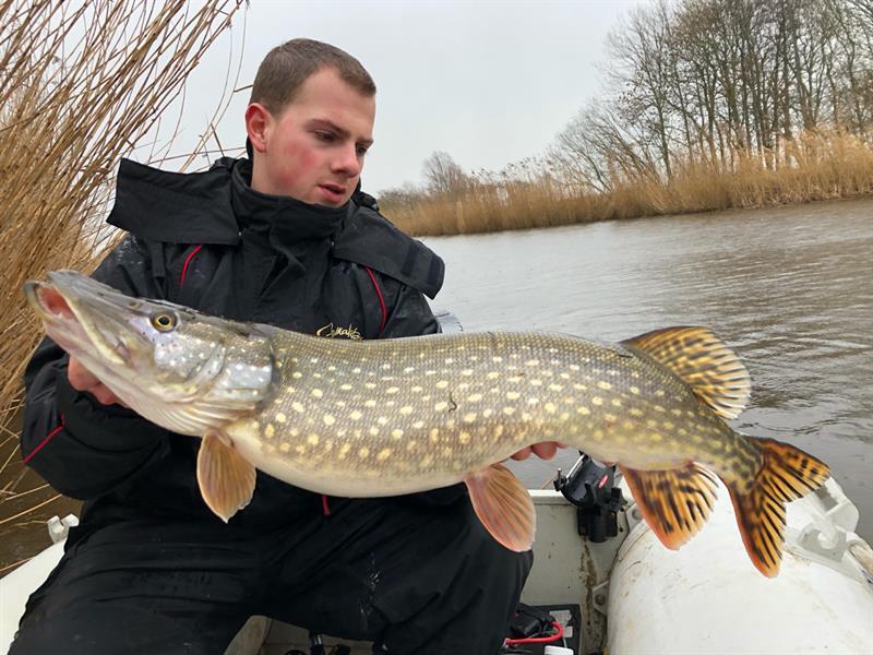 Snoek van 85 cm