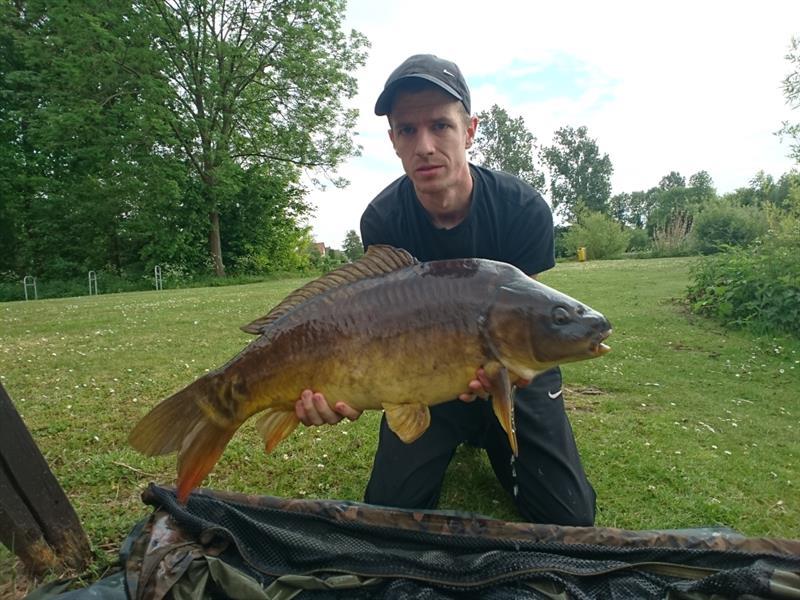 Spiegelkarper van 17 pond