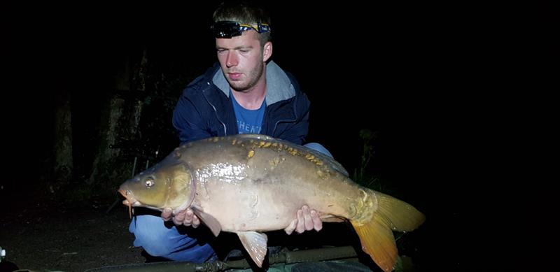 Spiegelkarper van 24 pond & 70 cm