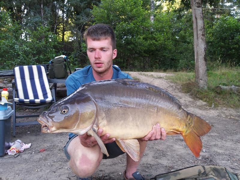 Spiegelkarper van 24 pond & 75 cm