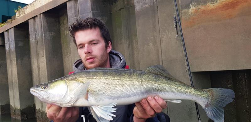 Snoekbaars van 67 cm