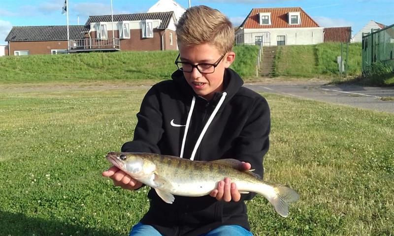 Snoekbaars van 47 cm