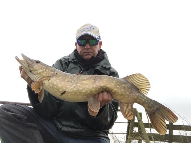 Snoek van 78 cm