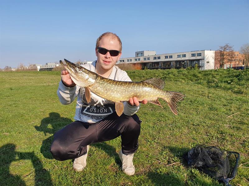 Snoek van 67 cm