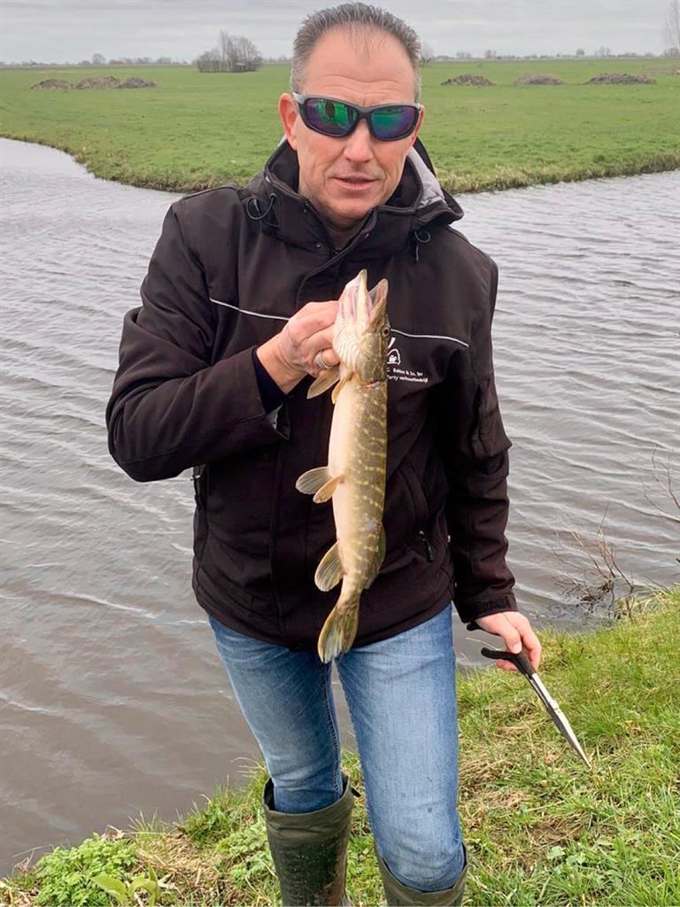 Snoek van 50 cm