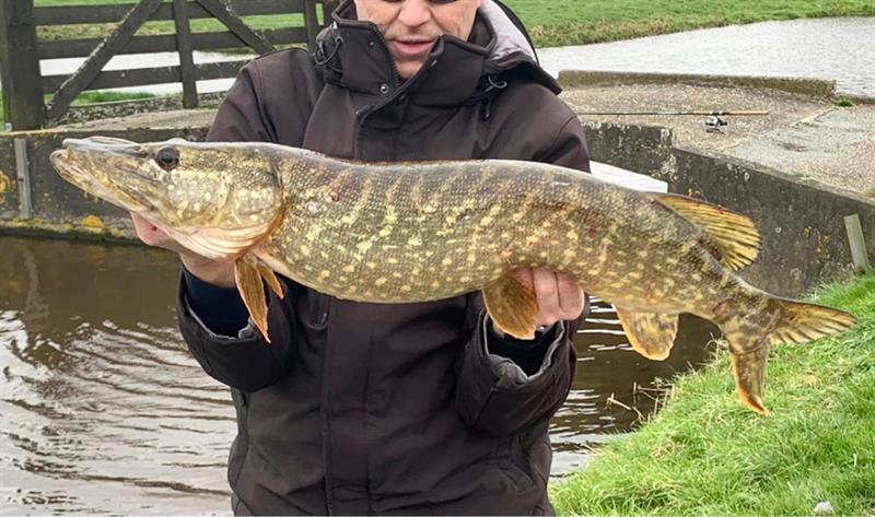 Snoek van 81 cm
