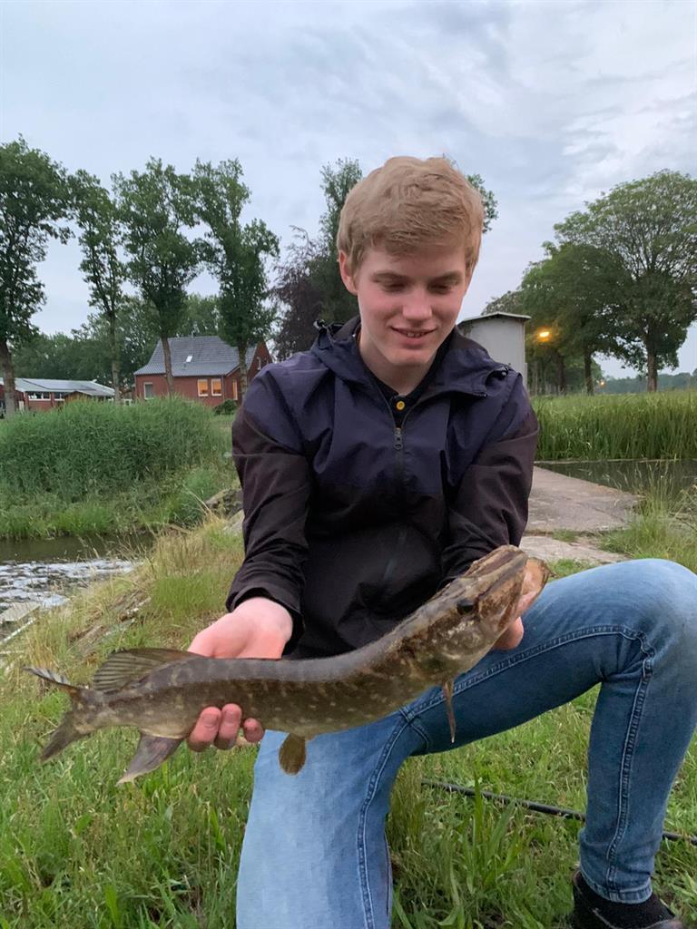 Snoek van 54 cm