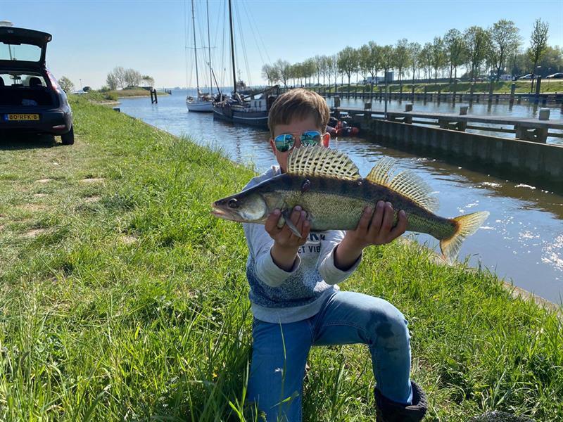 Snoekbaars van 70 cm