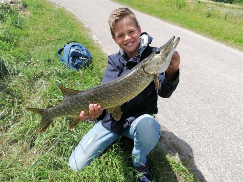 Snoek van 70 cm