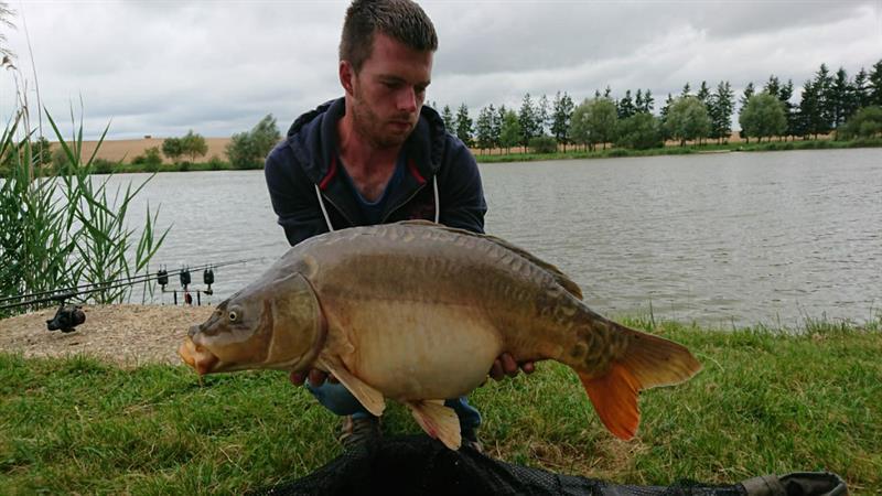 Spiegelkarper van 24 pond & 77 cm