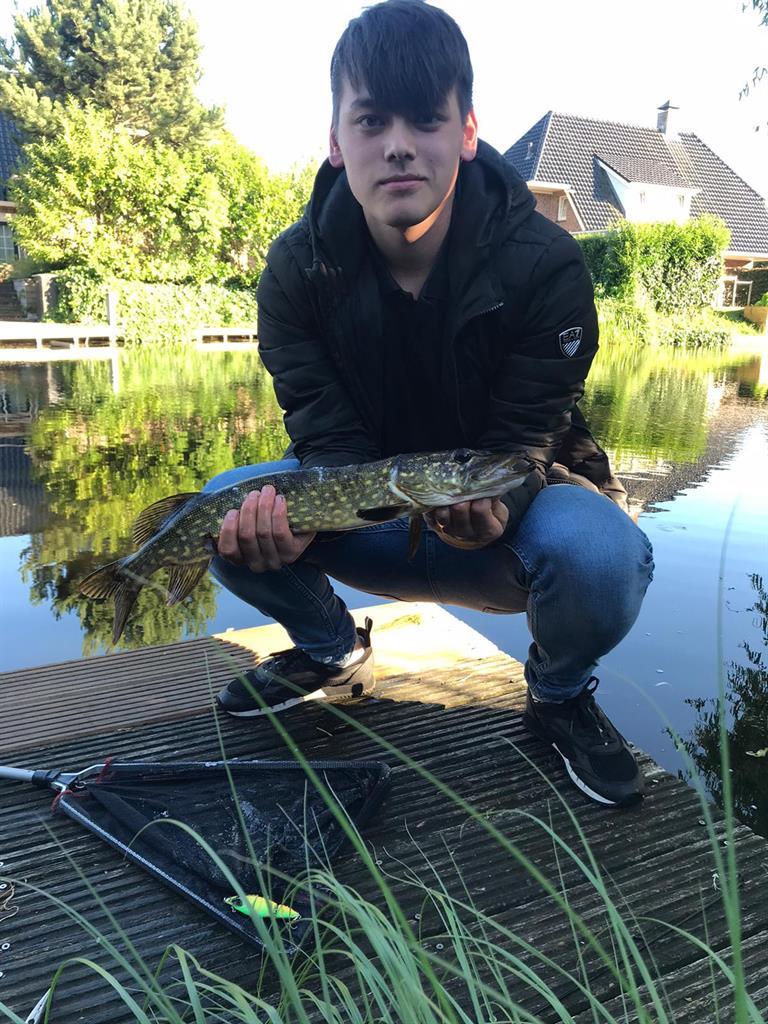 Snoek van 53 cm