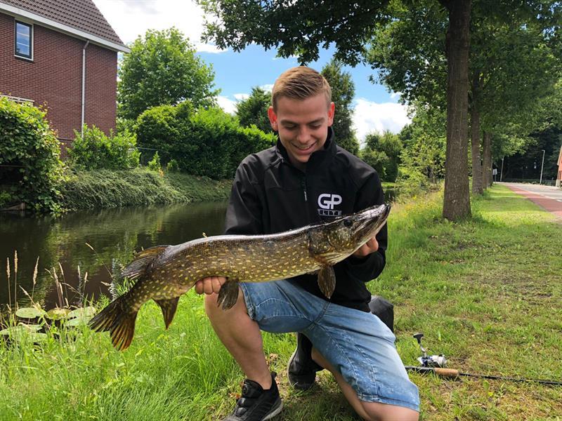 Snoek van 80 cm