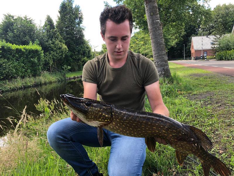 Snoek van 80 cm