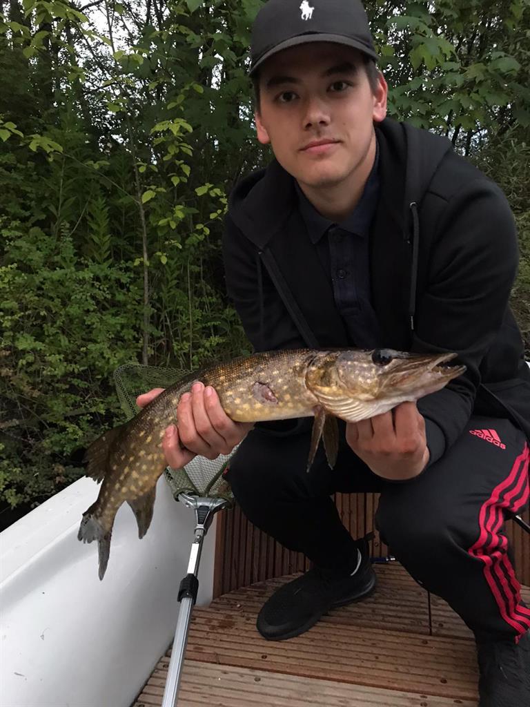 Snoek van 54 cm