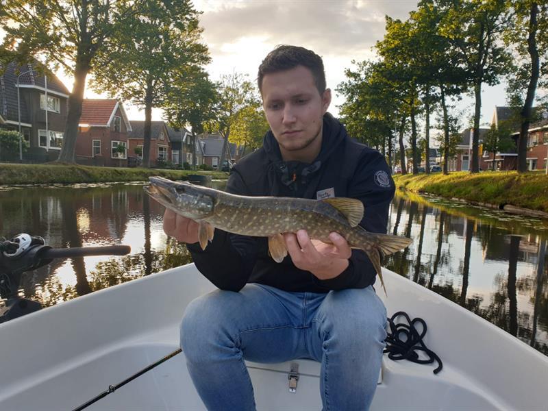 Snoek van 47 cm