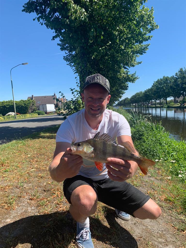 Baars van 36 cm