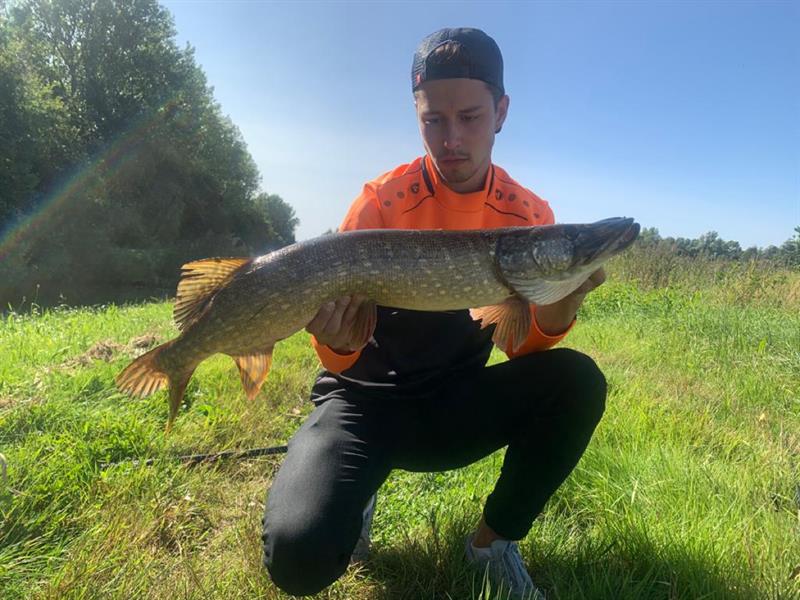 Snoek van 80 cm