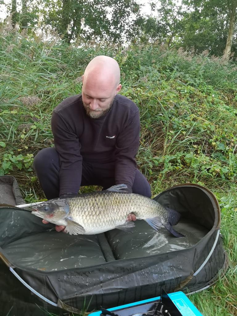 Graskarper van 14 pond & 80 cm