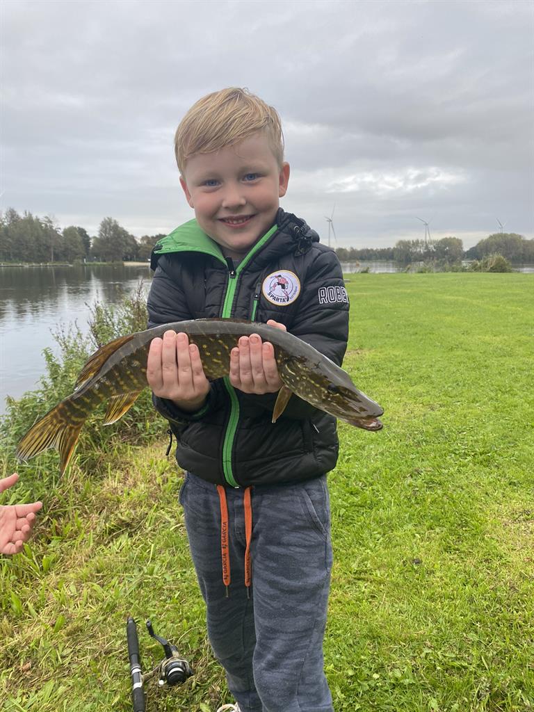 Snoek van 46-50 cm