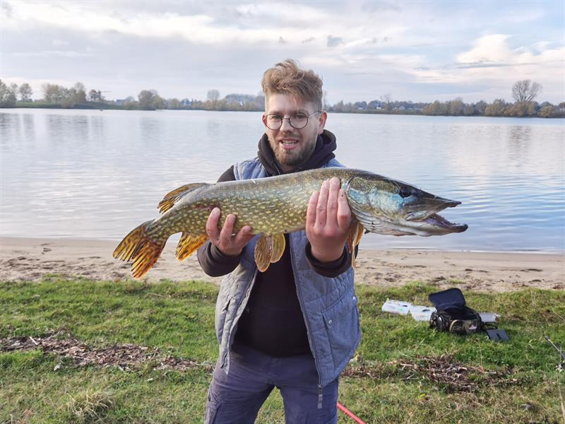 Snoek van 80 cm