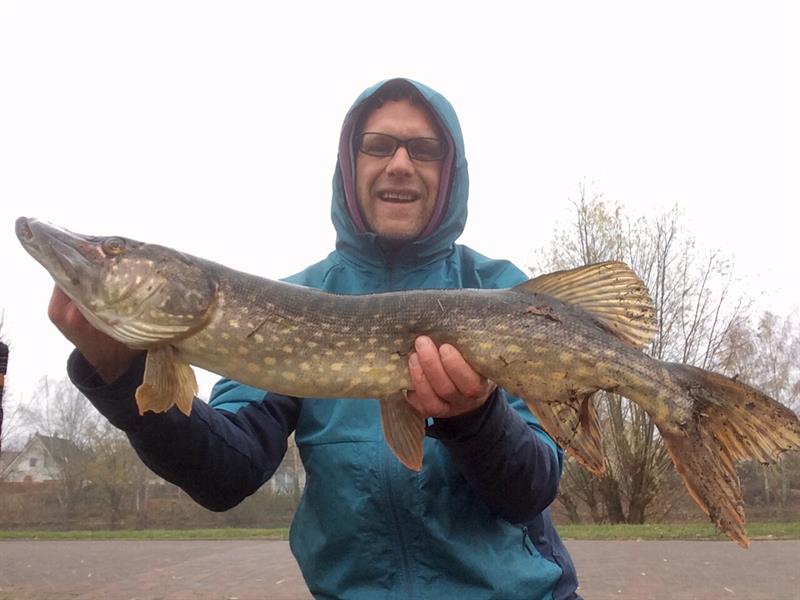 Snoek van 81 cm