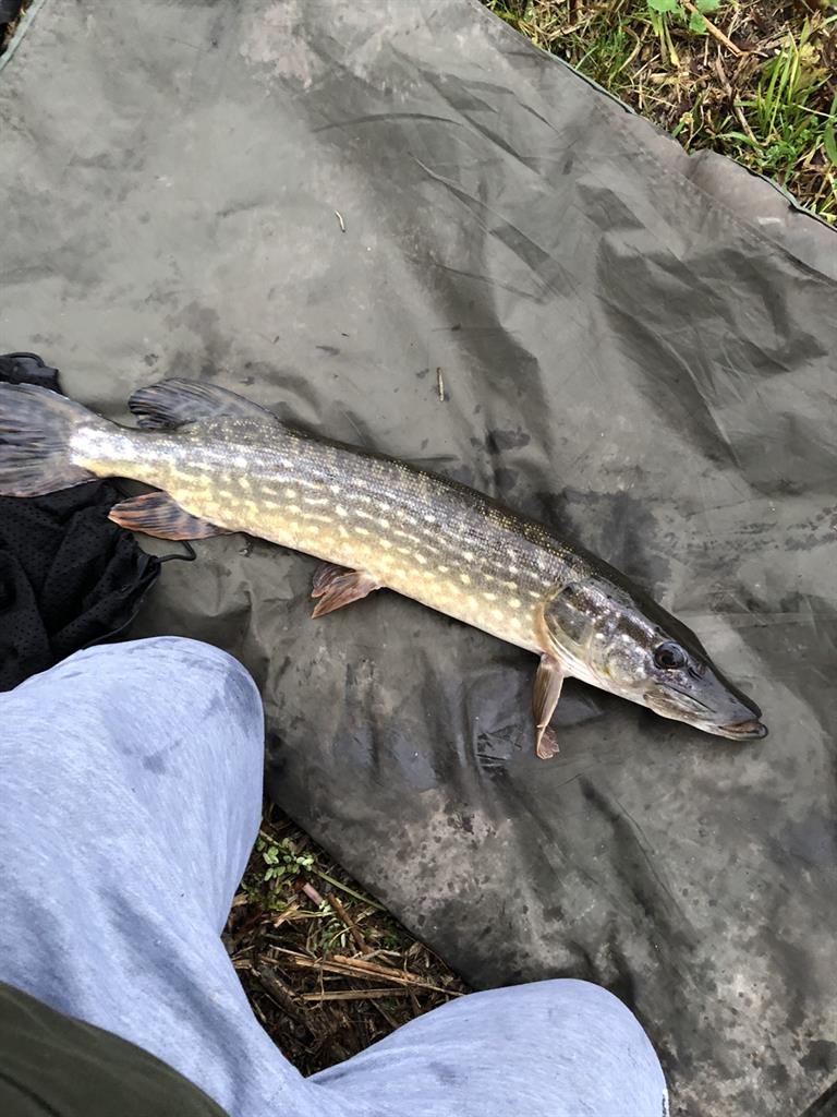 Snoek van 2106 gram & 69 cm