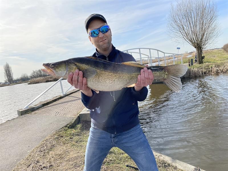 Snoekbaars van 76-80 cm