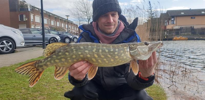 Snoek van 66 cm