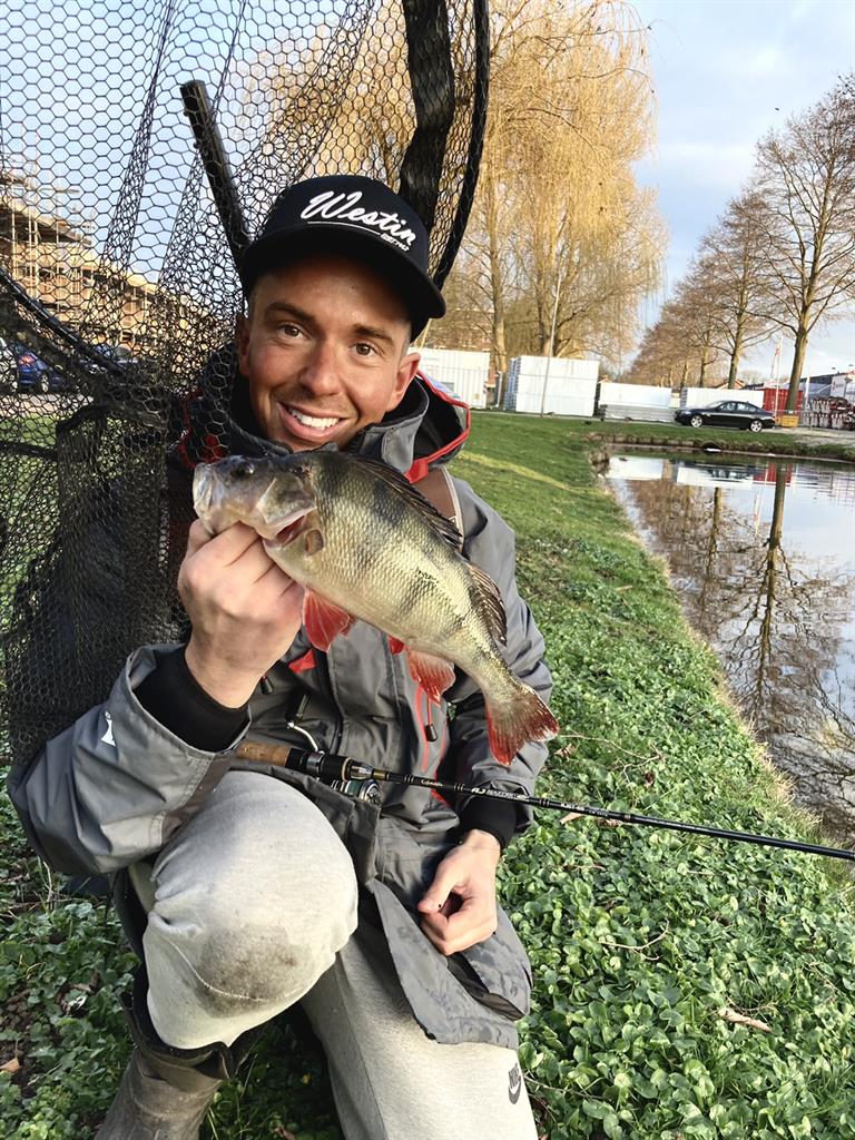 Baars van 26-30 cm