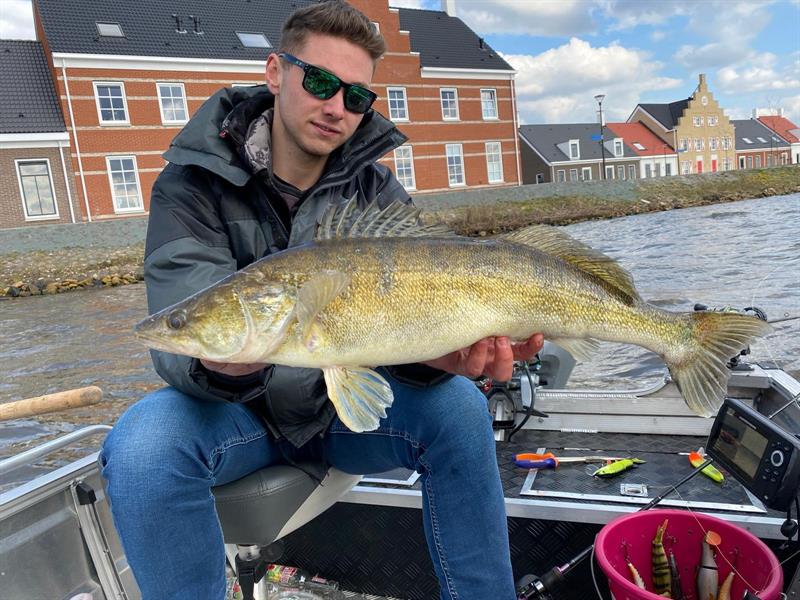 Snoekbaars van 71 cm