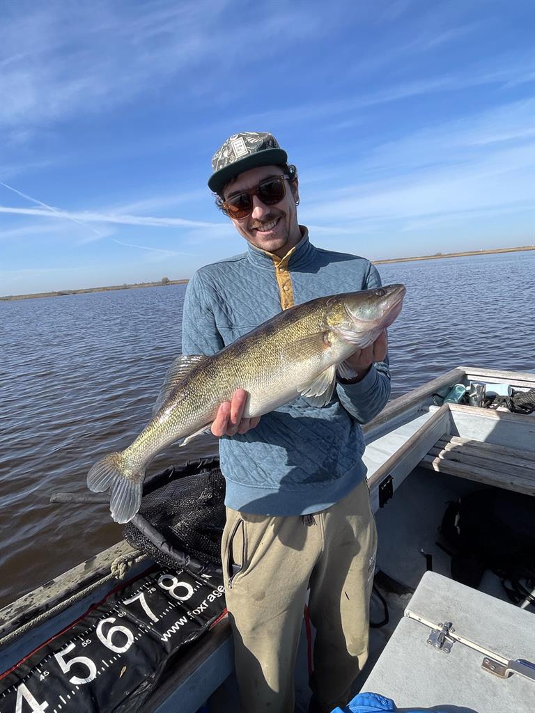 Snoekbaars van 64 cm