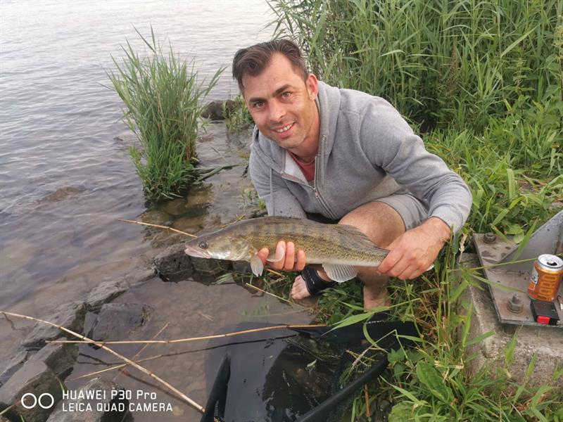 Snoekbaars van 56 cm
