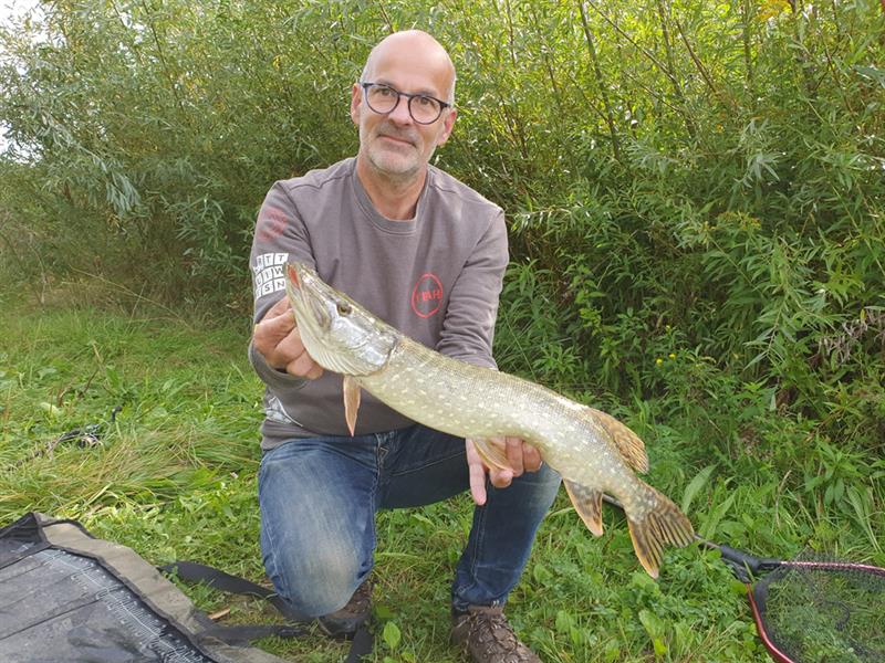 Snoek van 56-60 cm