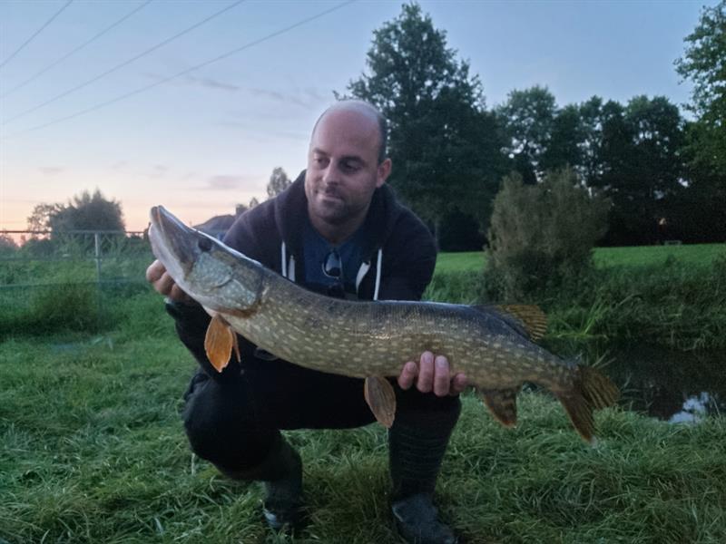 Snoek van 75 cm