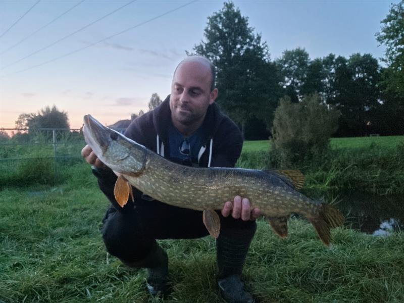 Snoek van 75 cm