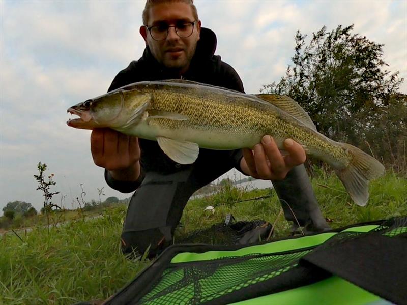 Snoekbaars van 58 cm