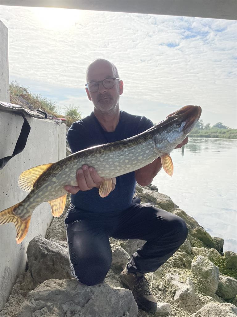 Snoek van 75 cm