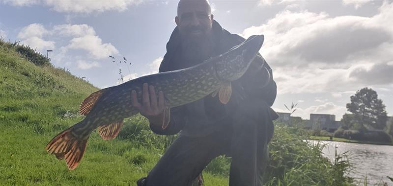 Snoek van 84 cm
