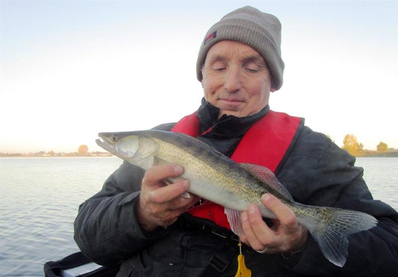 Snoekbaars van 45 cm