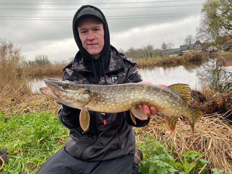 Snoek van 62 cm