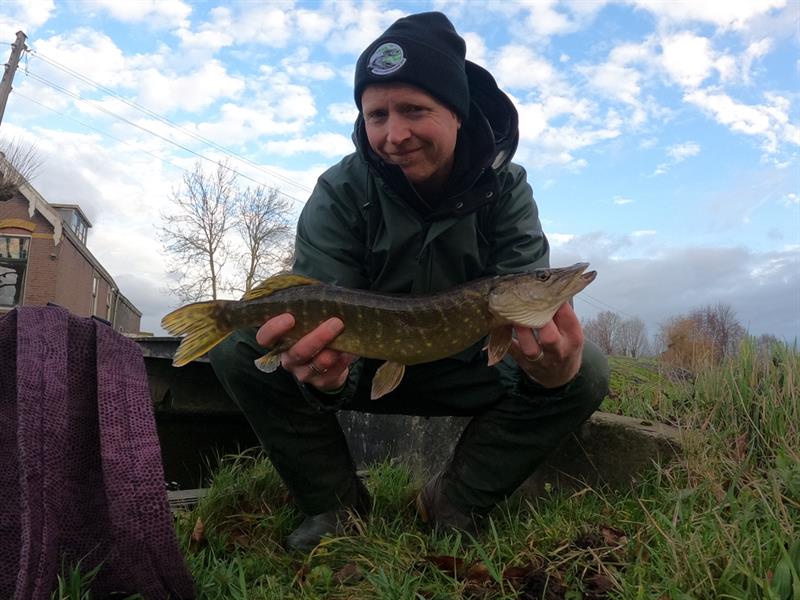 Snoek van 50 cm