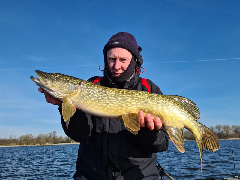 Snoek van 71-75 cm