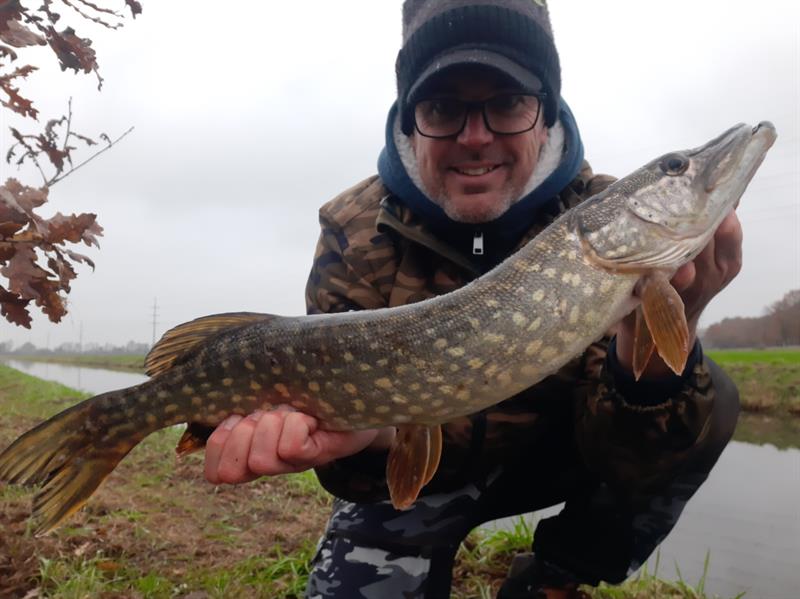 Snoek van 66 cm