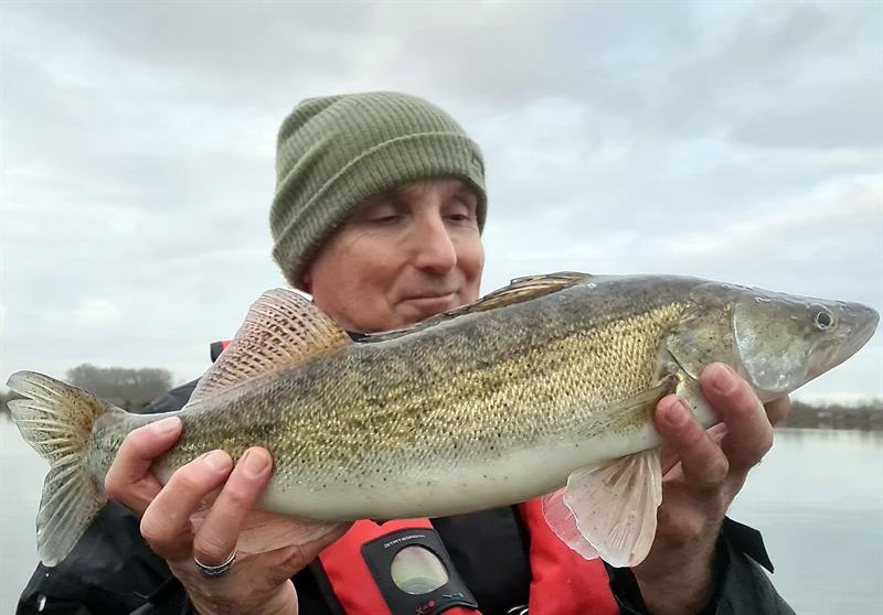 Snoekbaars van 62 cm