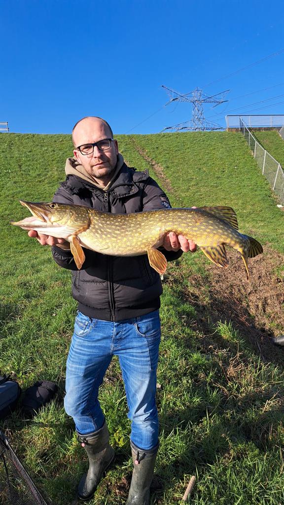 Snoek van 84 cm
