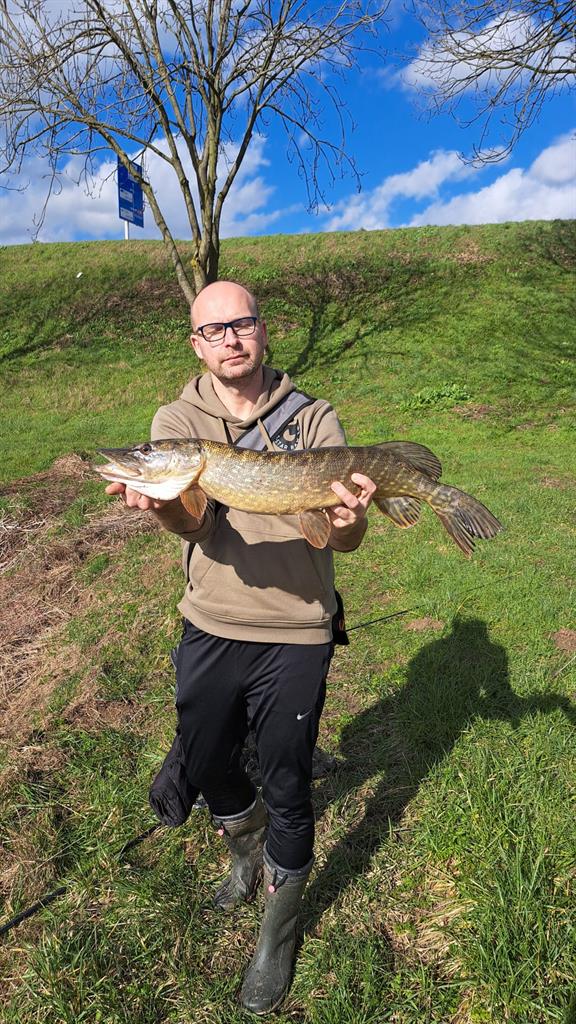 Snoek van 80 cm