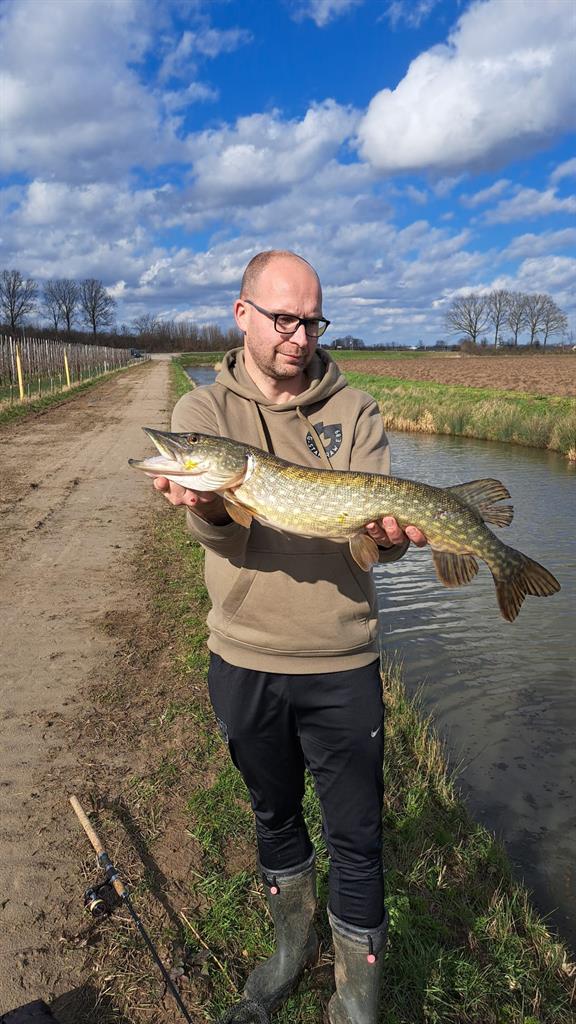 Snoek van 71-75 cm