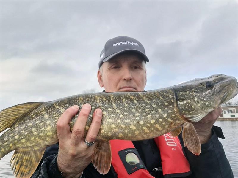 Snoek van 80 cm